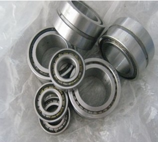  Double row with double-sealed tank filled Moving only Cylindrical Roller Bearings-SL0450 Series